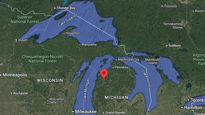 A bison was spotted on the loose near Traverse City, Michigan. (Credit: Google Maps)